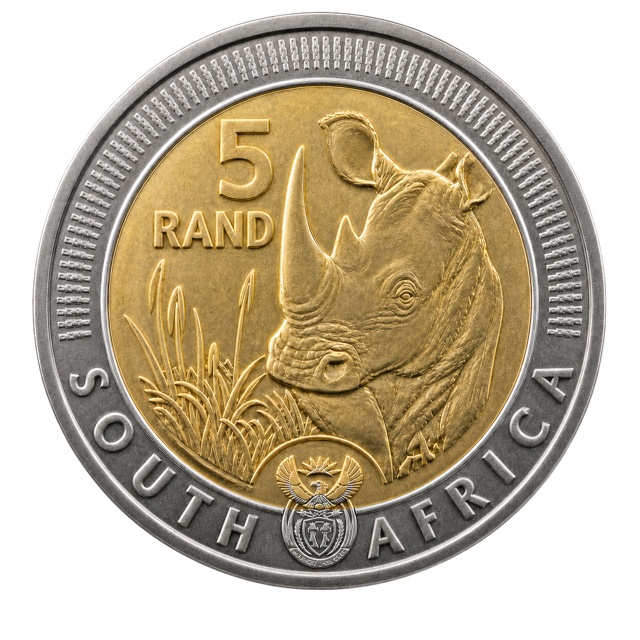 Rand sul-africano